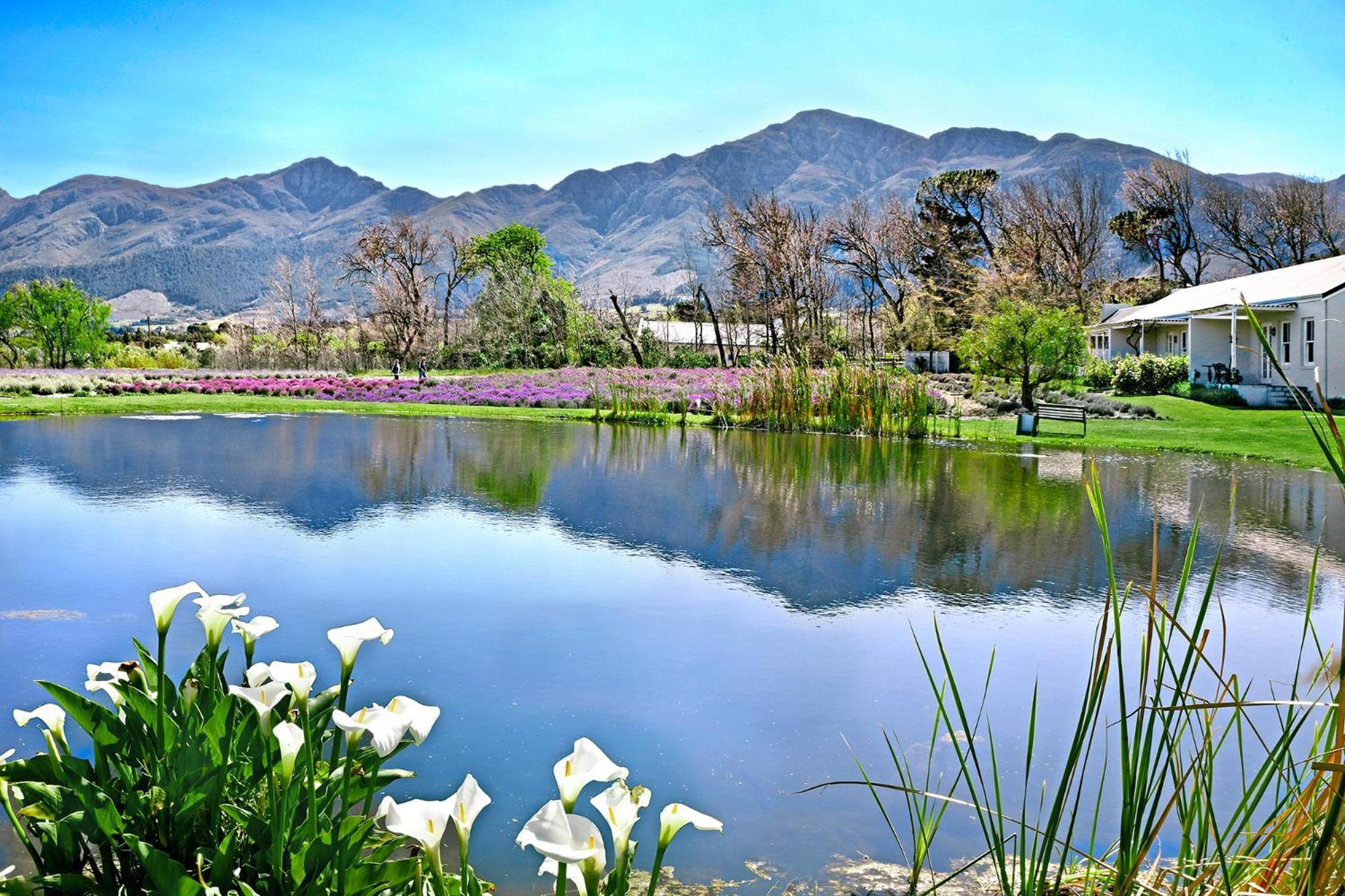 Lavender Farm Boutique Guest House Franschhoek Exterior photo