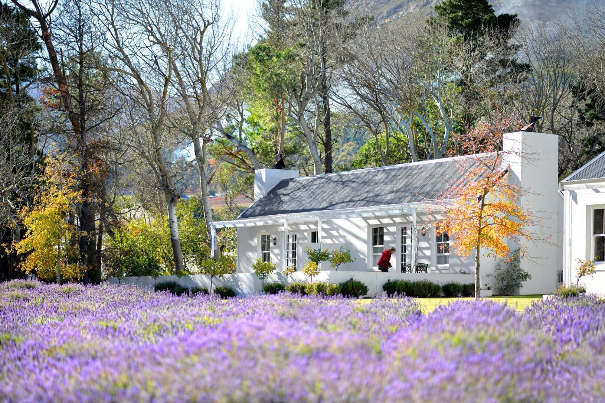 Lavender Farm Boutique Guest House Franschhoek Exterior photo