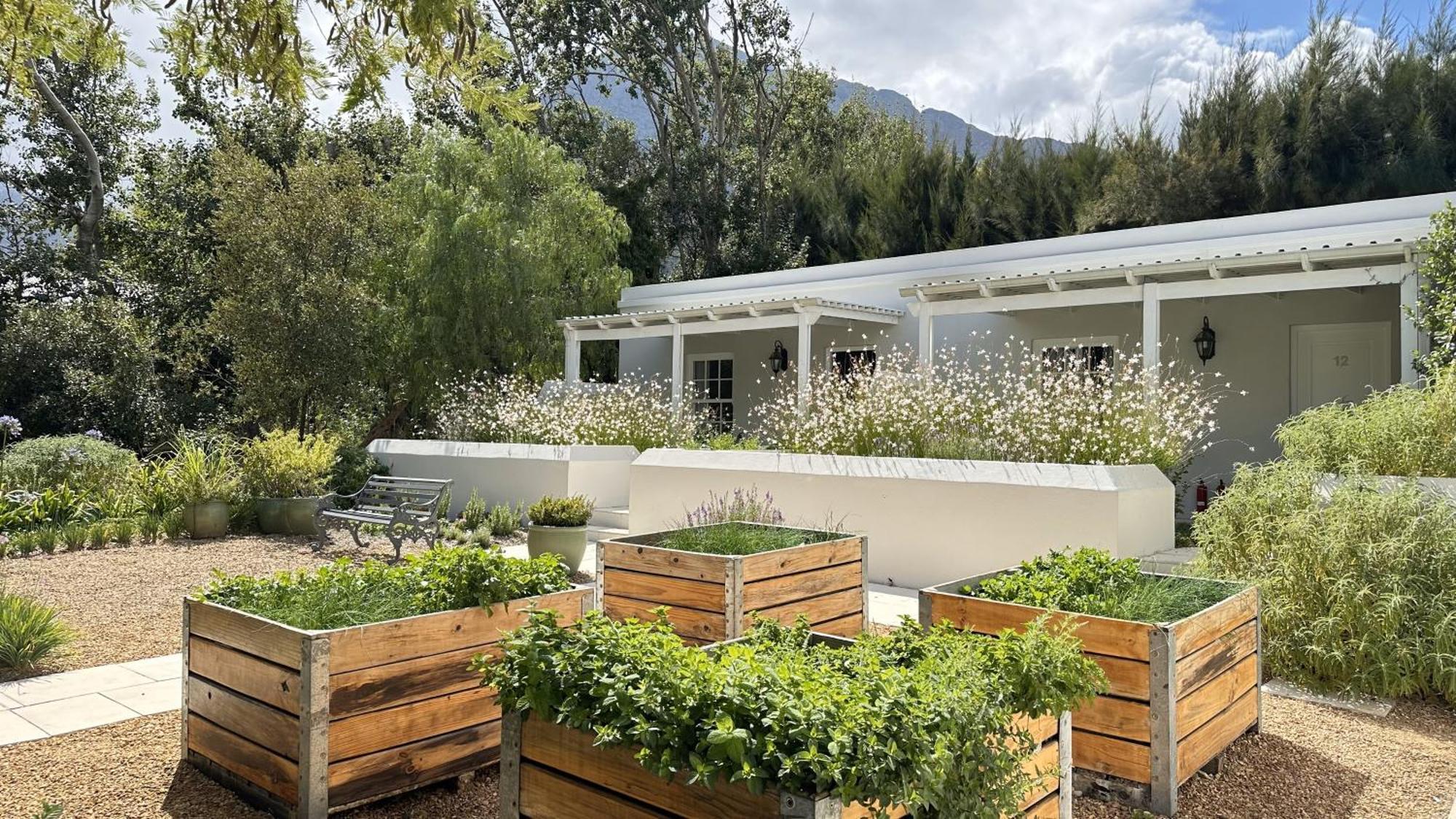 Lavender Farm Boutique Guest House Franschhoek Exterior photo